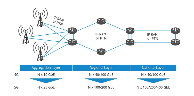 100G WDM Networks